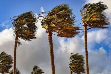 وزش باد شدید در شرق کشور
