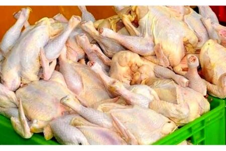 ۵۱ هزار تن گوشت مرغ در استان کرمان تولید می‌شود
