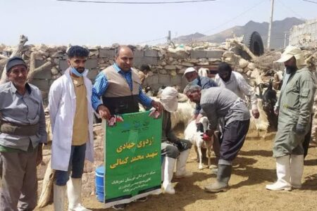 برگزاری اردوهای جهادی شبکه دامپزشکی در مناطق محروم شهربابک