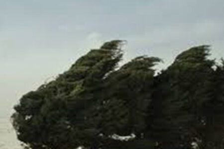 پیش‌بینی وزش باد و خیزش گردوخاک در کرمان