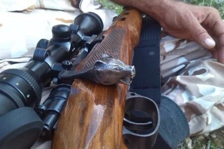 شکارچیان غیرمجاز در شهرستان جیرفت دستگیر شدند