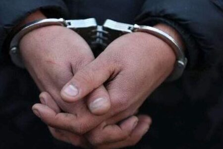 دستگیری متخلف زنده‌گیری پرنده شکاری در شهرستان فهرج
