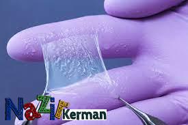ساخت نمونه اولیه پانسمانی از غشاء بیولوژیک برای ترمیم ضایعات پوستی در کرمان