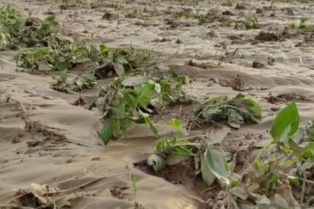 خسارت ۱۸۲ میلیارد تومانی طوفان و تگرگ به زیر ساخت‌های شهرستان کهنوج