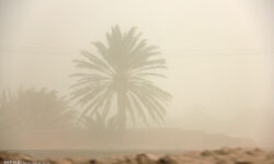 طوفان شن و گرد و غبار شرق کرمان را فرا می گیرد