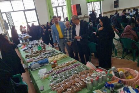 جشنواره غذا و مشاغل خانگی در شهرستان زرند برگزار شد