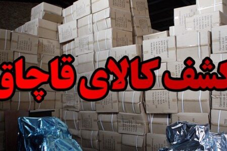۲۶۳ میلیارد کالای قاچاق در طرح واکاوی انبارهای استان کرمان کشف شد