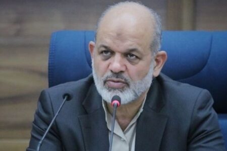 وحیدی: لایحه تشکیل استان کرمان جنوبی به زودی تقدیم مجلس می‌شود