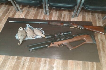 شکارچی غیرمجاز پرندگان وحشی در گلباف دستگیر شد