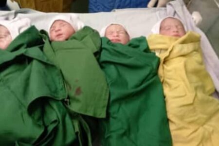 تولد یک چهارقلوی دیگر در کرمان