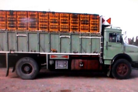 توقيف کامیون حامل مرغ زنده قاچاق در نرماشیر