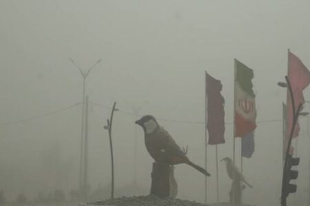 طوفان در کرمان موجب قطع برق و اخلال در اینترنت همراه شد