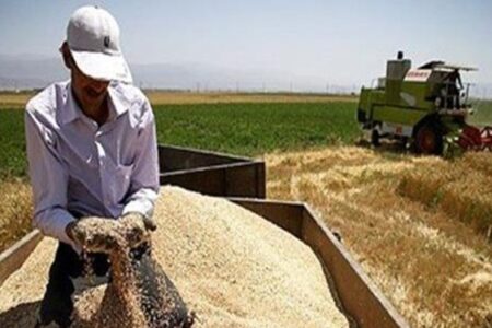 رنج کشاورزان جنوب کرمان از روزهای سخت تهیه بذر و کود تا مبارزه نفس‌گیر با آفت‌ها