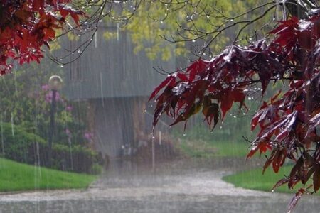 ثبت ۸۹ میلیمتر بارش در ریسه شهربابک/ پیش‌بینی جو آرام تا ظهر پنجشنبه