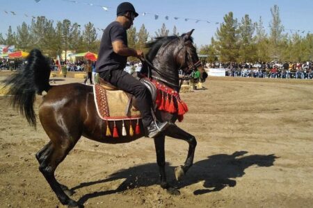 رفسنجان در فروردین‌ماه میزبان همایش کشوری شو اسب سواره می‌شود
