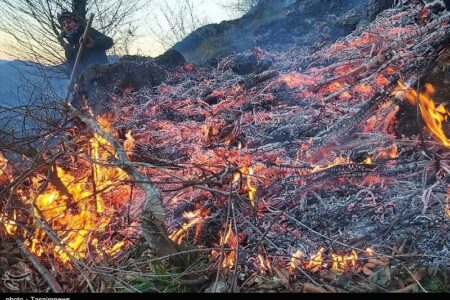 بیش از یک هکتار از اراضی منابع طبیعی راین در آتش سوخت