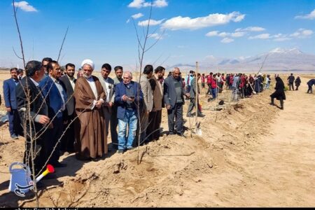 غرس ۳۵ هزار نهال در کشت و صنعت بنیاد تعاون زندانیان کرمان + تصویر