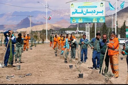 کاشت درخت به یاد شهدای انفجار تروریستی در کرمان + تصویر