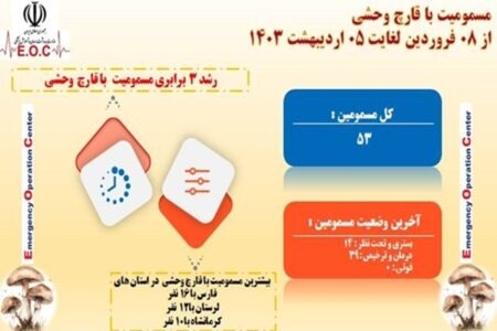 ۵۳ نفر در ایران بر اثر مصرف قارچ وحشی مسموم شدند!