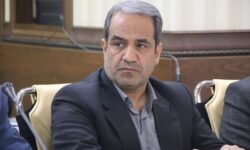 پلمب ۶۵ واحدصنفی املاک و خودرو در کرمان