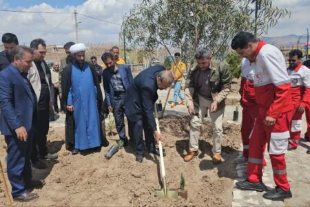کاشت ٣٠ هزار اصله درخت در شهرستان زرند