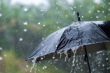 بارش ۴۶ میلی‌متری باران در مردهک جیرفت