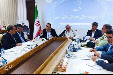 ورود اطلاعات استان کرمان به مناقصات شرکت‌های شبه دولتی استان
