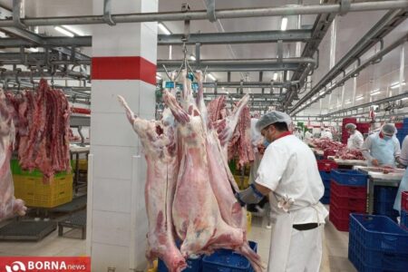 افزایش قیمت گوشت و تاثیر آن بر بازار