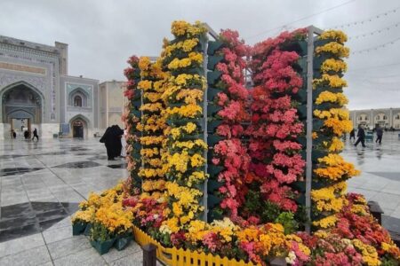 گل‌آرایی باشکوه حرم مطهر رضوی در دهه کرامت با ۴۰۰ هزار بوته گل