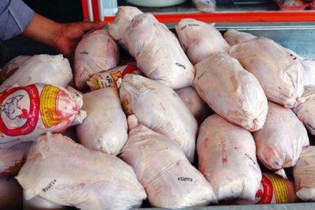 صادرات مرغ ایرانی به بازارهای جهانی آغاز شد