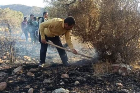 آسیب جدی آتش‌سوزی به جنگل‌های ‌دهبکری‌