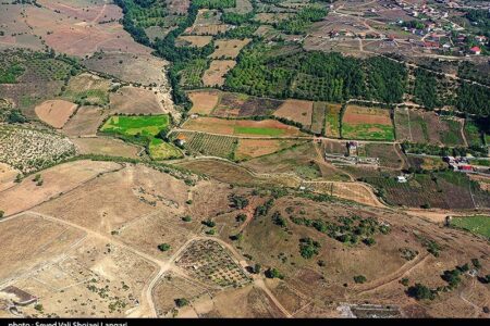 بیش از ۱۰۰۰ هکتار از اراضی کشاورزی استان کرمان سنددار شد