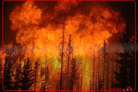 آتش سوزی بزرگ جنگلی در کاسکایس پرتغال