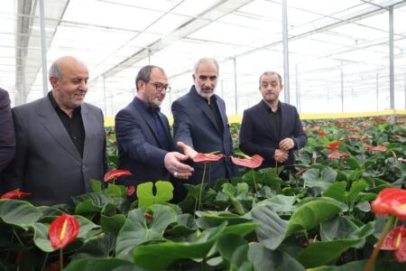 هماهنگی هایی با وزیر صنعت و جهاد کشاورزی برای گره گشایی صادرات گل و گیاه از مازندران انجام شد