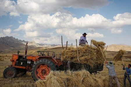 امکان اخذ مالیات از فعالیت‎های کشاورزی در ایران وجود ندارد