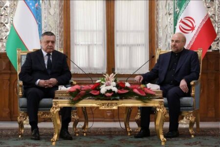 روسای مجالس ایران و ازبکستان دیدار کردند