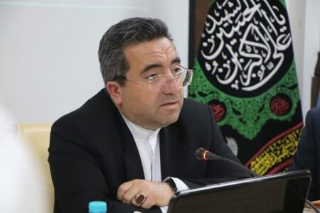 حدنگاری بیش از ۵۵ درصد از اراضی کشاورزی در استان کرمان | خبر کرمان