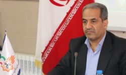 کاهش ۵ درصدی پرونده‌های سرقت استان کرمان در ۳ ماهه نخست امسال