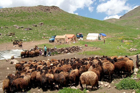 ۵۶ درصد از مساحت شمال استان کرمان در قلمرو عشایر است