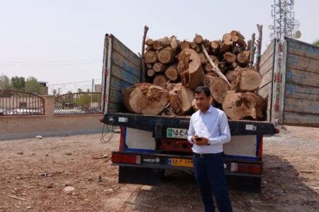 حمل بدون مجوز بیش از ۷ تُن چوب در شهرستان رودبار جنوب