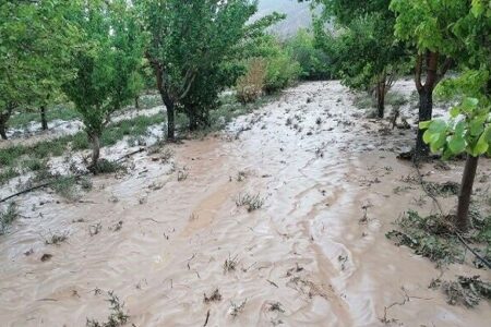 چهارشنبه احتمال وقوع سیلاب در جنوب و غرب استان/کرمان غبارآلود می‌شود | اخبار کرمان و شهرستان ها