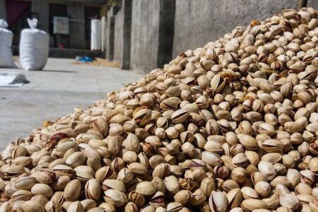 با رفع موانع صادراتی امسال بازار پسته خوبی خواهیم داشت | اخبار اقتصادی کرمان