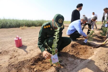 غرس ۹۶ اصله نهال به یاد ۹۶ شهیده استان کرمان