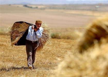 سرشماری عمومی کشاورزی در کرمان از ۱۲ آبان‌ماه‌ آغاز می‌شود | اخبار اقتصادی کرمان