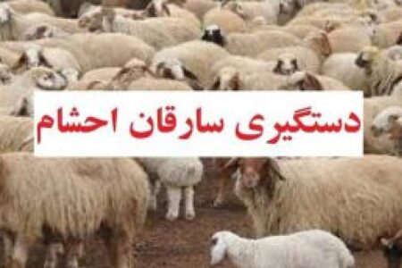 دستگیری سارقان احشام کم‌تر از ۲۴ ساعت | اخبار استان کرمان