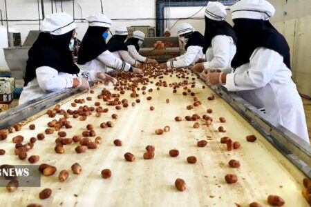 آذربایجان‌شرقی با فرآوری و بسته‌بندی بزرگ‌ترین صادرکنندۀ خرما شد | اخبار اقتصادی کرمان