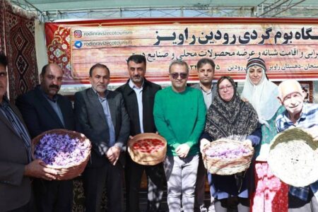 برگزاری جشنواره زعفران طلای سرخ در راویز رفسنجان | خبر کرمان