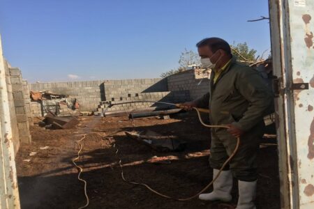 برگزاری اردوی جهادی دامپزشکی به مناسبت هفته بسیج در کرمان | خبر کرمان