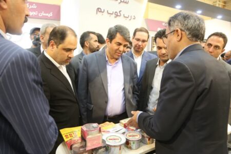 کرمان به استان برتر «آی تی و آی سی تی» کشور تبدیل شود | خبر کرمان