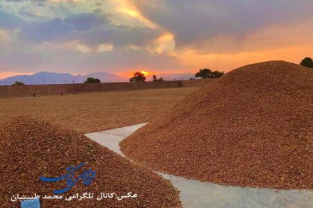 ممنوعیت صادرات پسته ایران به اتحادیه اروپا از ۲۸ آبان‌ماه | اخبار اقتصادی کرمان